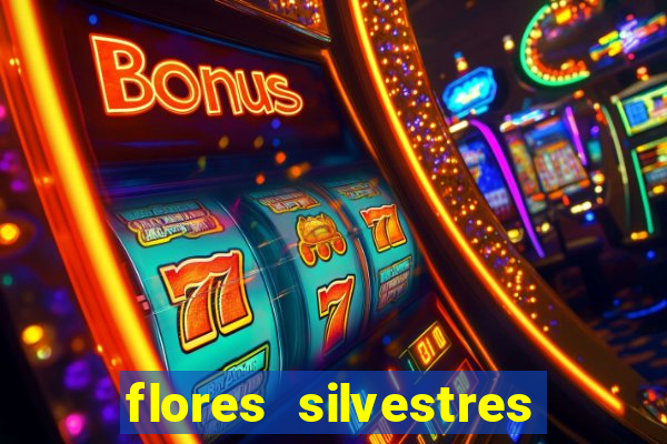 flores silvestres desbravadores desbravadores 25